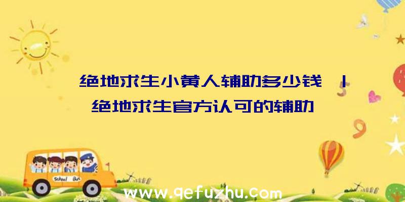 「绝地求生小黄人辅助多少钱」|绝地求生官方认可的辅助